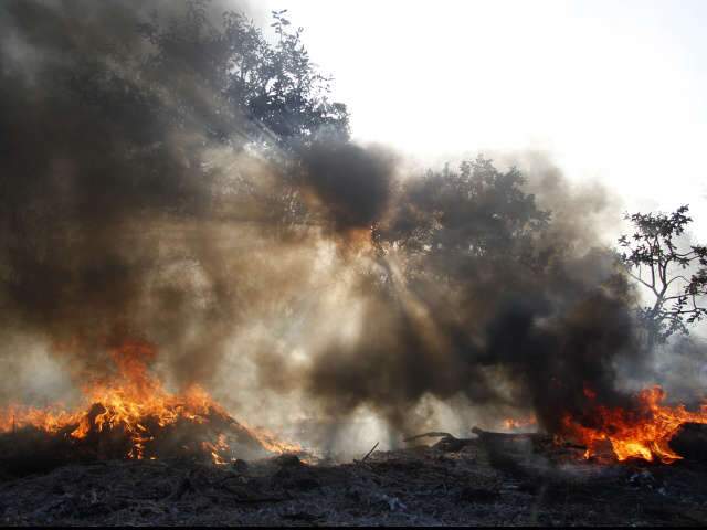  Inc&ecirc;ndio em vegeta&ccedil;&atilde;o assusta moradores do Jardim Veraneio