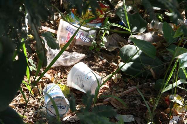 Sem lixeira e consci&ecirc;ncia, lixo come&ccedil;a a tomar conta do Parque das &Aacute;guas