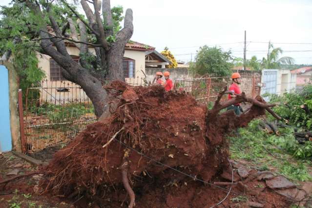 Temporal causa estragos em toda cidade e regi&atilde;o central &eacute; mais afetada