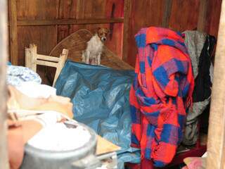 Na foto, o único cômoda da casa. Entre comida, panela e roupas, o cachorro sentado no colchão molhado pela chuva. (Foto: Rodrigo Pazinato)