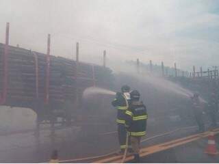 Bombeiros apagaram as chamas que atingiu a carga de eucalipto. (Foto: Alberto Dias)
