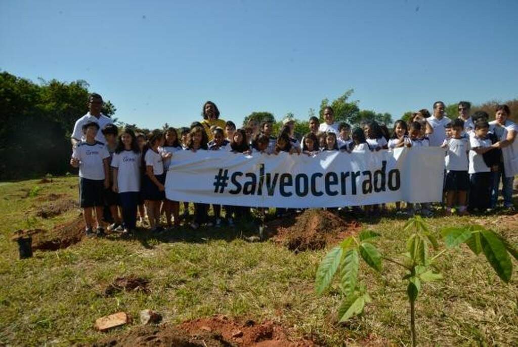 Wwf Brasil Alerta Sobre Desmatamento No Dia Nacional Do Cerrado Meio Ambiente Campo Grande News 6778