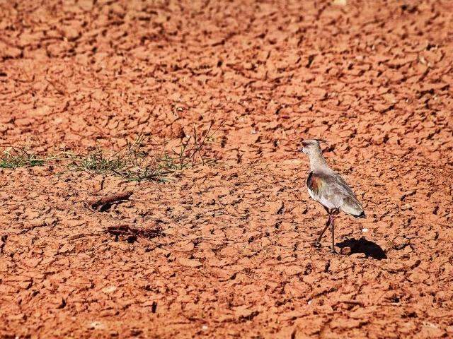 Frente fria chega domingo para acabar com seca e estiagem de 36 dias