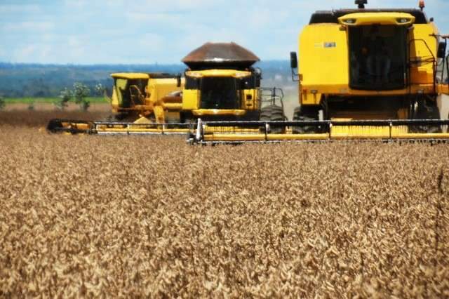 Com crescimento de 3%, Valor da Produ&ccedil;&atilde;o de MS &eacute; estimado em R$ 21 bilh&otilde;es