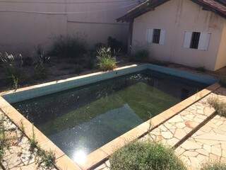 A mais de 2 anos a casa esta abandonada e a piscina serve como criadouro de msoquitos.(Foto:Direto das Ruas)