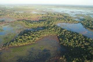 Comitê terá que apresentar políticas voltadas para região do Pantanal (Foto: Famasul/Divulgação)