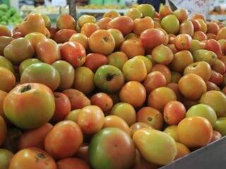 Tomates expostos em gôndola do supermercado (Foto: Arquivo) 