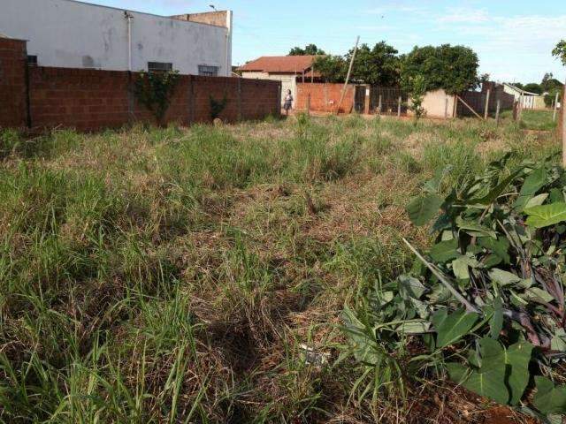 Homem &eacute; assassinado a tiros na madrugada; 8&ordf; morte violenta no m&ecirc;s