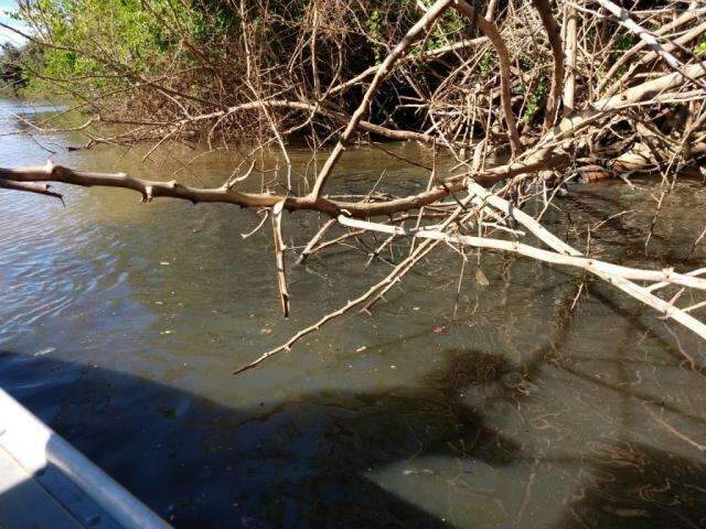 Empresa &eacute; multada em R$ 430 mil por contamina&ccedil;&atilde;o do rio Aquidauana