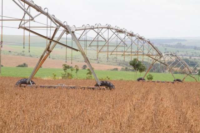 BGE reduz estimativa de queda da safra para 6% neste ano