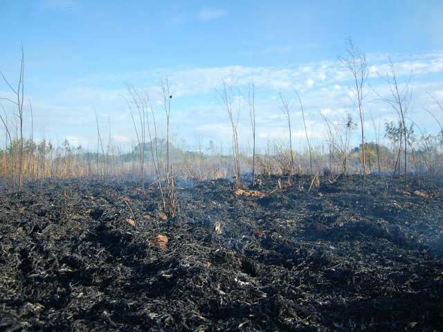  Bombeiros da Capital registram nove focos de inc&ecirc;ndio somente hoje
