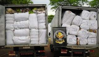 Mercadoria e caminhões foram apreendidos e levados para Polícia Federal de Dourados. (Foto: Divulgação/DOF)