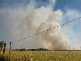 Chamas se alastraram e bombeiros trabalham com dificuldade em razão do tamanho da área (Foto: João Paulo Gonçalves)