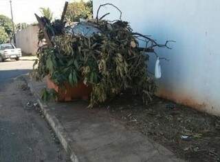 Caçamba ocupa grande espaço em calçada. (Foto: Repórter News)