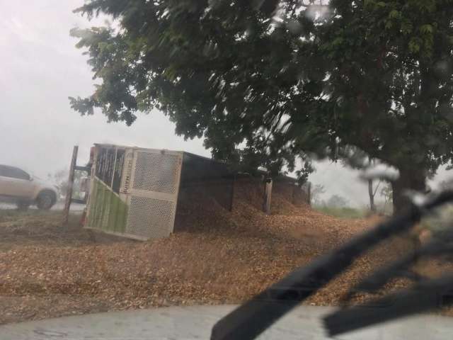 Condutor perde dire&ccedil;&atilde;o e tomba com 35 toneladas de madeira triturada