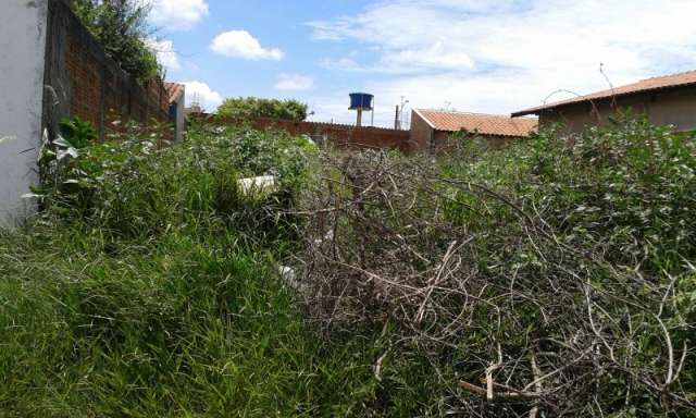 Moradores depositam lixo em terreno baldio da Vila S&atilde;o Jorge da Lagoa