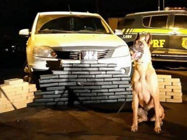 Com c&atilde;es farejadores, PRF acha 106 kg de coca&iacute;na em fundo falso de carro
