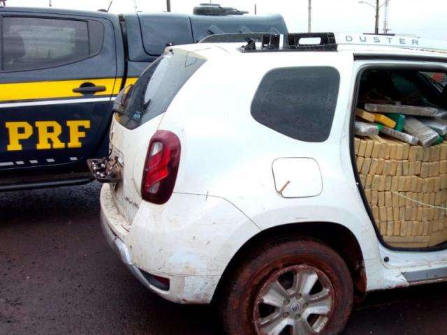 &ldquo;Cavalo doido&rdquo; foge da PRF, entra em lavoura e abandona maconha