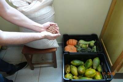 Apesar de ver irregularidade, MP elogia &ldquo;boas pr&aacute;ticas&rdquo; da educa&ccedil;&atilde;o