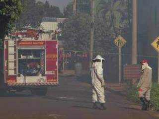 Corpo de Bombeiros atendem chamado de ataque de abelhas em Campo Grande. (Foto: Arquivo)