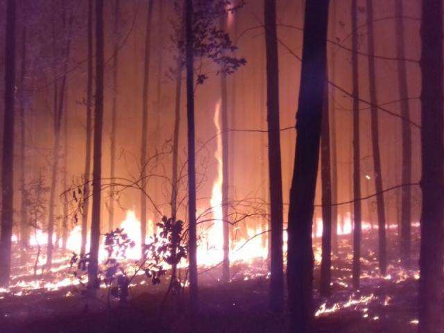 Inc&ecirc;ndio em fazendas queima 180 hectares e &eacute; controlado ap&oacute;s 4 horas