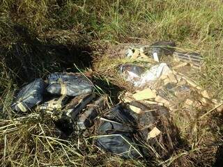 A droga foi encontrada em uma mata, próximo ao local do carro incendiado. (Foto: divulgação/Polícia Militar de Ribas do Rio Pardo). 