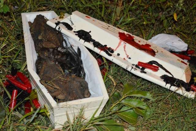 Moradores encontram caix&atilde;o com velas pretas, sapos e nome de homem