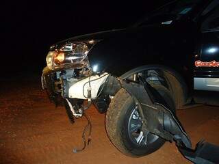 Frente do carro que atingiu o animal ficou danificada (Fotos: Jornal da Nova)