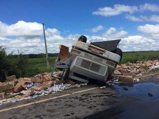 Caminhão parou com as rodas para cima e carga se espalhou as margens da rodovia (Foto: Divulgação)