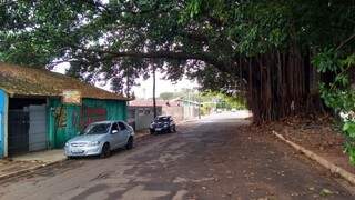 Lugar fica debaixo de uma imensa árvore no bairro Petrópolis. (Foto: Fernando Antunes)
