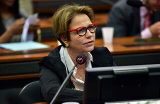 Deputada Tereza Cristina foi punida por ter votado a favor da reforma trabalhista (Foto: Zeca Ribeiro/Câmara dos Deputados)