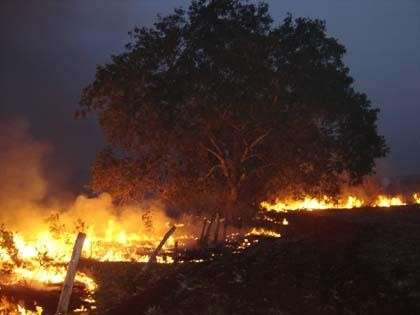 Ibama tem 1,6 mil brigadistas para combater inc&ecirc;ndios em MS