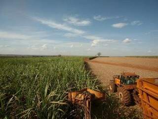 Ureia boliviana será destinada a produção de fertilizantes líquidos para a plantação de cana. (Foto: Arquivo) 