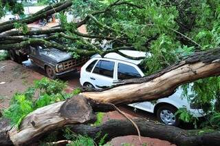 Na Rua Eulália Pires, duas árvores caíram ao mesmo tempo, atingindo uma caminhonete e um Gol (Foto: Eliel Oliveira)