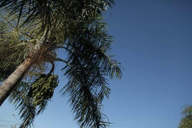 Campo Grande amanhece parcialmente nublado, sem previs&atilde;o de chuva