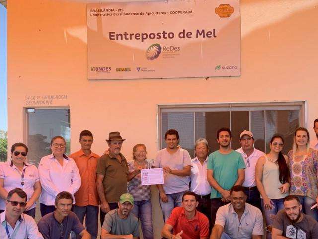 Produ&ccedil;&atilde;o de mel de eucalipto de Brasil&acirc;ndia ganha certifica&ccedil;&atilde;o