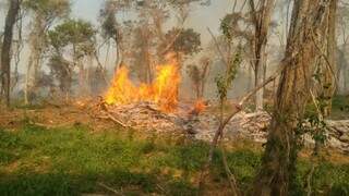 PMA multou empresa por desmatamento, incêndio e exploração ilegal de madeira. (Foto: Divulgação/PMA)