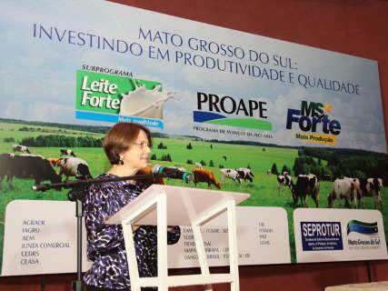  MS lança projeto de R$ 70 milhões para dobrar produção de leite