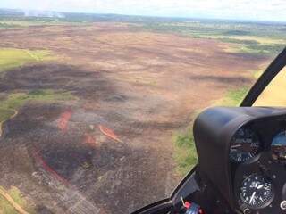 Mais de 200 hectares de área alagada foram queimados. (Foto: Divulgação)