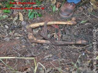 A ossada foi encontrada no dia 20 de abril próximo a rodovia MS-162 - 13 quilômetros de Maracaju. (Foto: Robertinho do site Maracaju Speed)