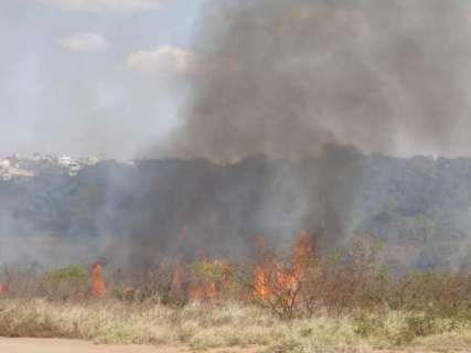 Fogo em vegetação se espalha rapidamente e fumaça atrapalha motoristas