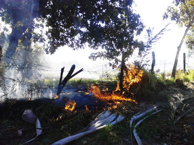  Bombeiros levam 2h para controlar inc&ecirc;ndio em terreno