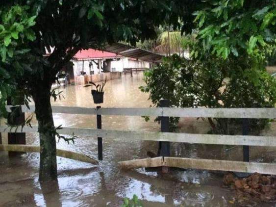 Chuva forte deixa propriedade totalmente alagada e animais acabam morrendo
