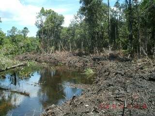 O proprietário da fazenda foi multado por desmatar matas ciliares sem autorização ambiental. (Foto: divulgação) 