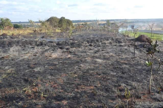 Ventania dificulta combate a inc&ecirc;ndio &agrave;s margens da rodovia BR-163