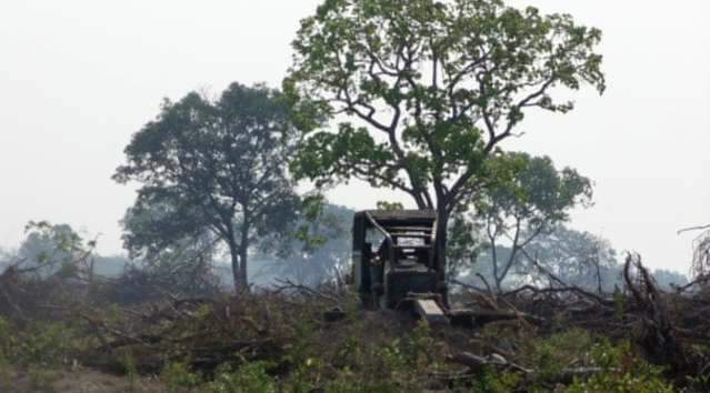 Estado &eacute; 2&ordm; no ranking nacional em rapidez para obter licen&ccedil;a ambiental