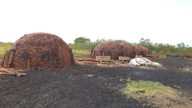Pol&iacute;cia fecha carvoaria clandestina em &Aacute;gua Clara