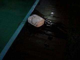 Aparelho de alarme foi jogado na piscina (Foto: Direto das Ruas) 