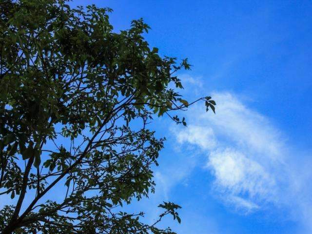 Predom&iacute;nio de sol, com pancadas de chuva e calor de at&eacute; 37&deg;C hoje