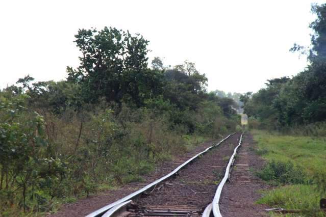 Sindicato e governador se re&uacute;nem para evitar fim da ferrovia em MS